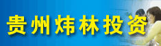贵州炜林投资有限公司