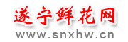 遂宁鲜花网