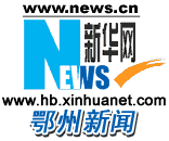 新华网