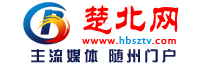 随视网